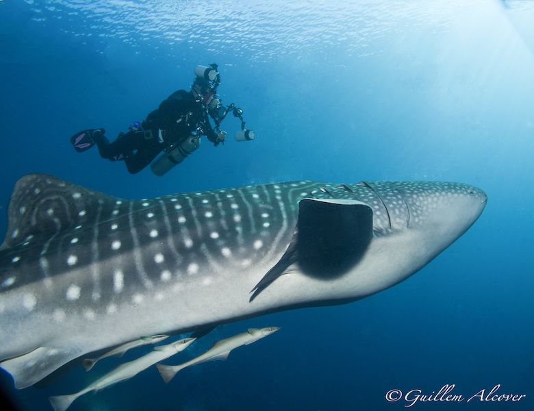 77db53c2-39ae-4f44-ba49-de445ce359b1