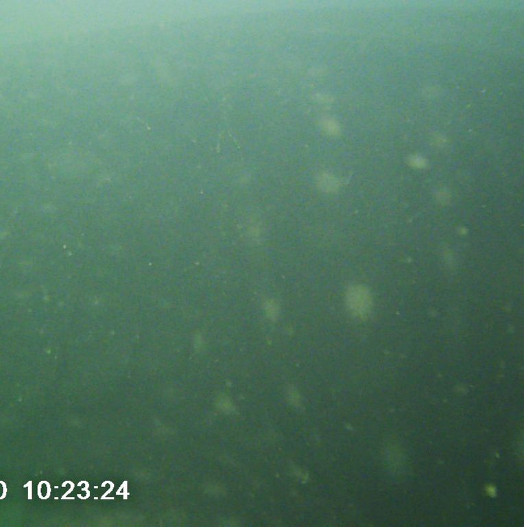 bc77869c-5fe1-4925-b336-a4635c0b6f93