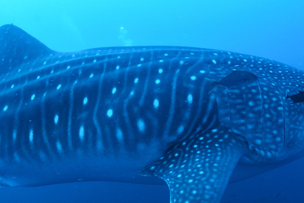 20778fcb-b373-4dfa-8a80-e230c31535b9