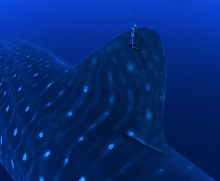 20778fcb-b373-4dfa-8a80-e230c31535b9