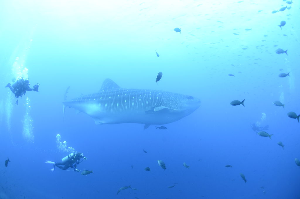 20778fcb-b373-4dfa-8a80-e230c31535b9