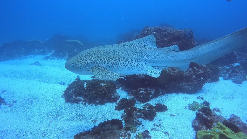 e6fe2eb8-8abe-43ef-90a2-4bc0826aaa45