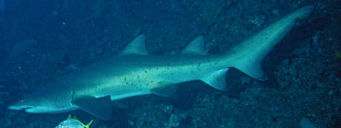 e41b82c0-e9e7-4a15-b8c8-a8fc764a1ec0