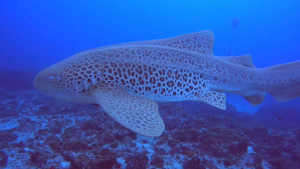 ccec62c5-a69f-4b1c-afc4-43e238e24ac2