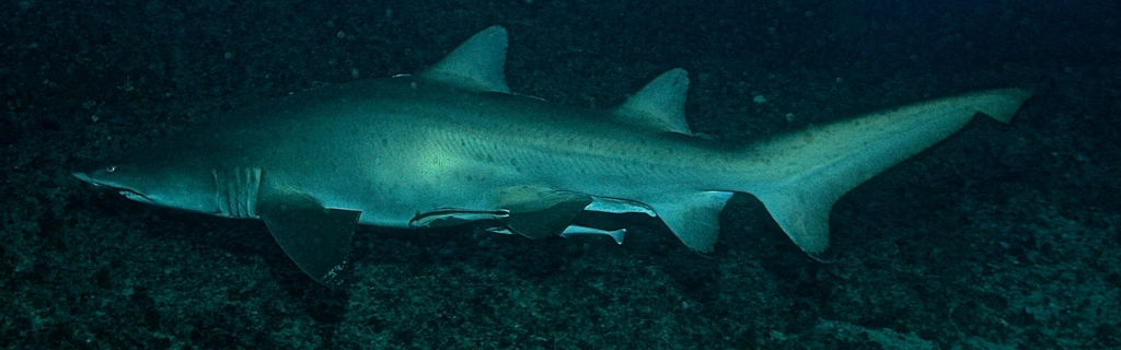 6488eb1f-8bc6-4aad-94ae-2e7460719ef0