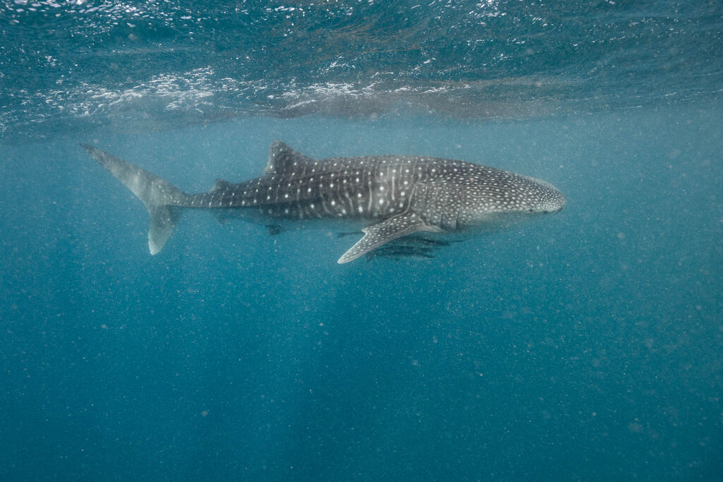 47b428d6-d3c2-46d6-8ecd-7603521be394