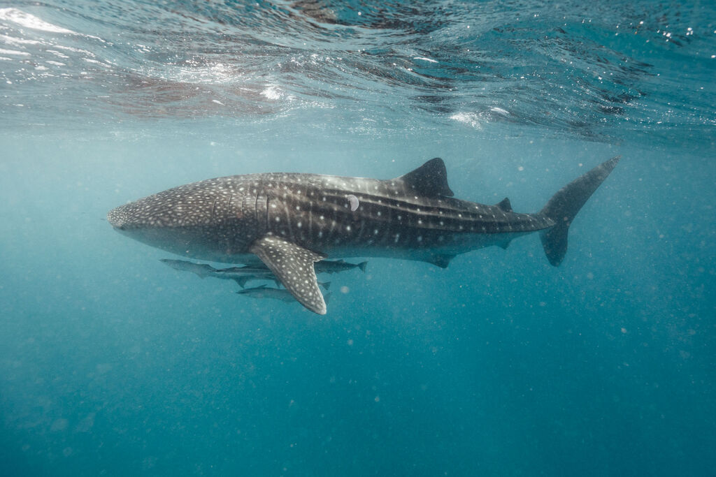 47b428d6-d3c2-46d6-8ecd-7603521be394