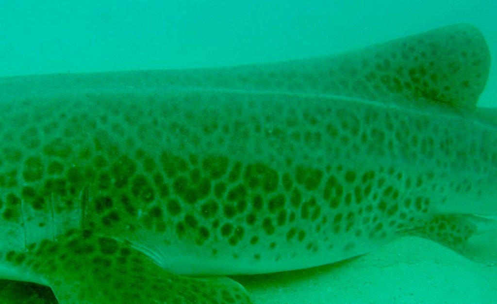 b61eaf69-b8e1-4299-a73e-567b7c96c242