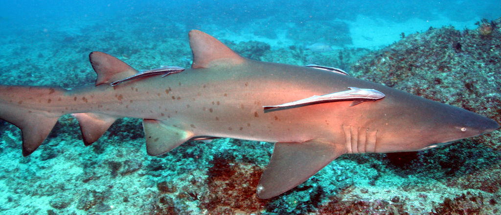 0ea7aa26-17bf-457d-a48b-d4c637c3e97d