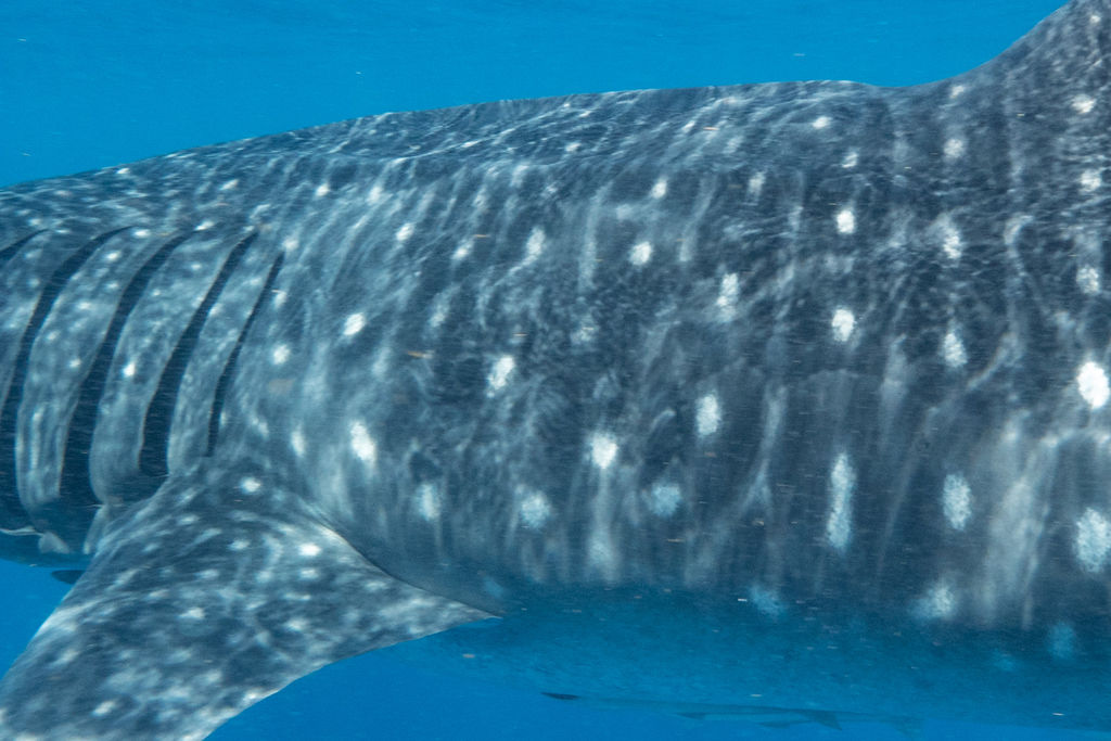 6b13d6b7-2886-43f3-8d0c-bebba49201e5