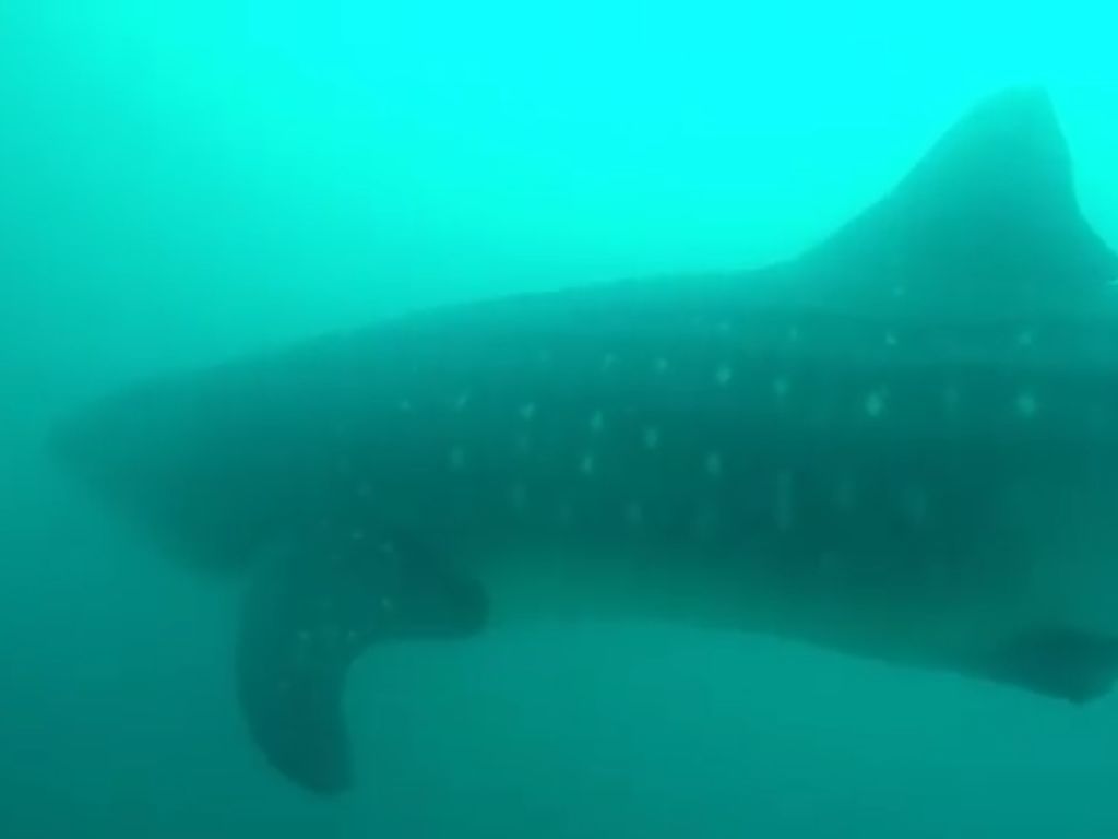 34c725ea-d6ff-42e0-a794-6213cf747be4