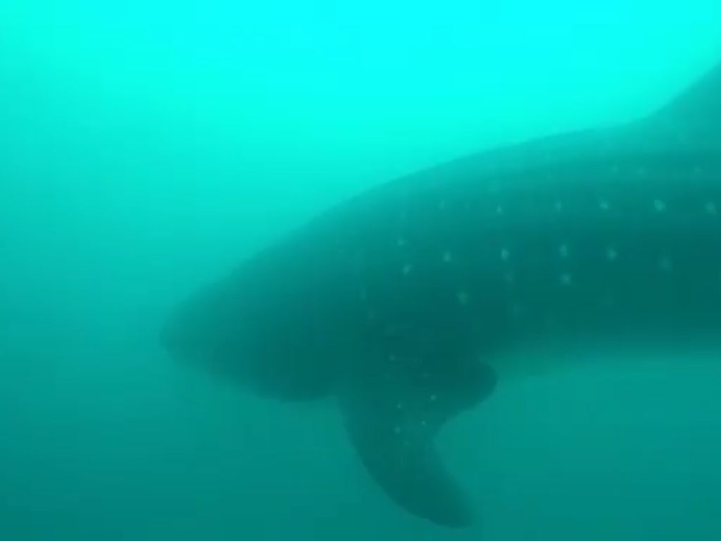 34c725ea-d6ff-42e0-a794-6213cf747be4