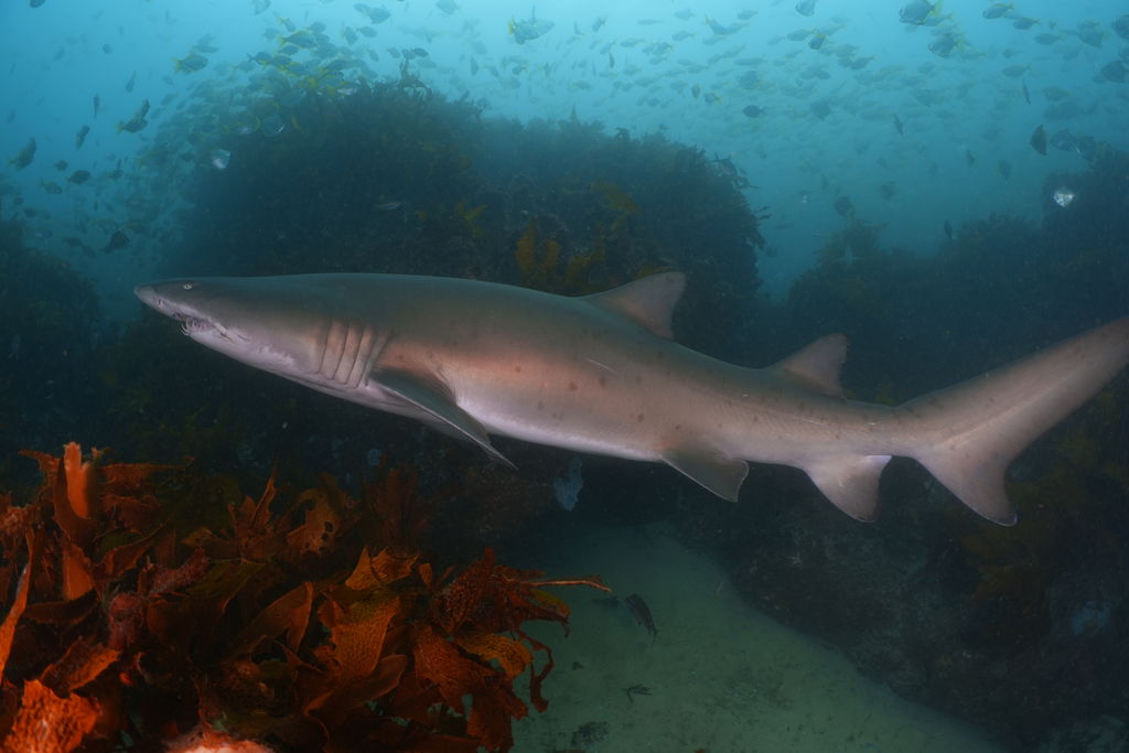 c7c458ed-c474-4c05-b29d-356c51007bb8