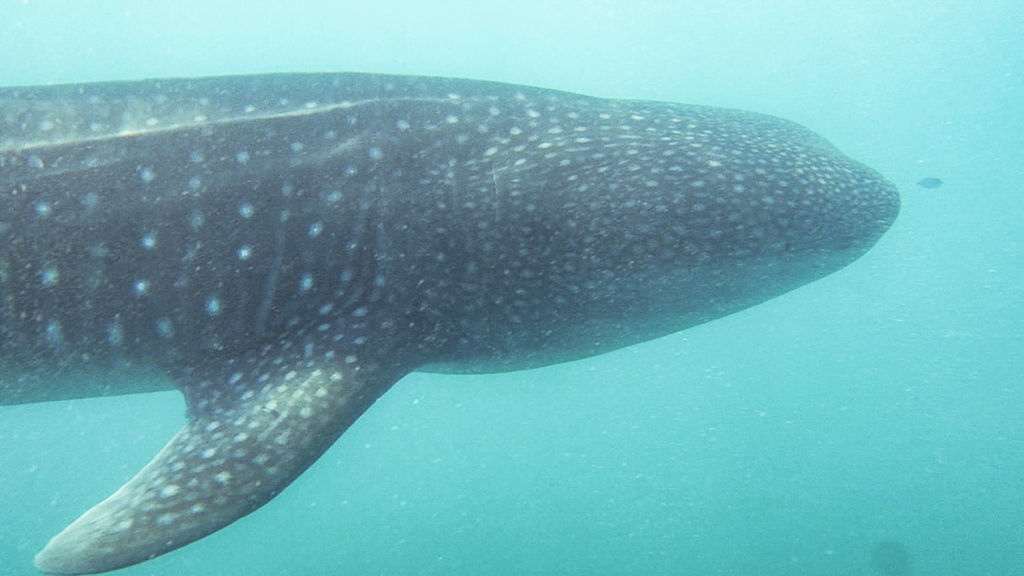 e2a586f0-9e6c-455e-8d48-06fbb6175866