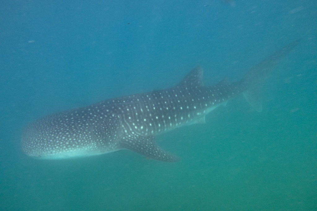 e2a586f0-9e6c-455e-8d48-06fbb6175866