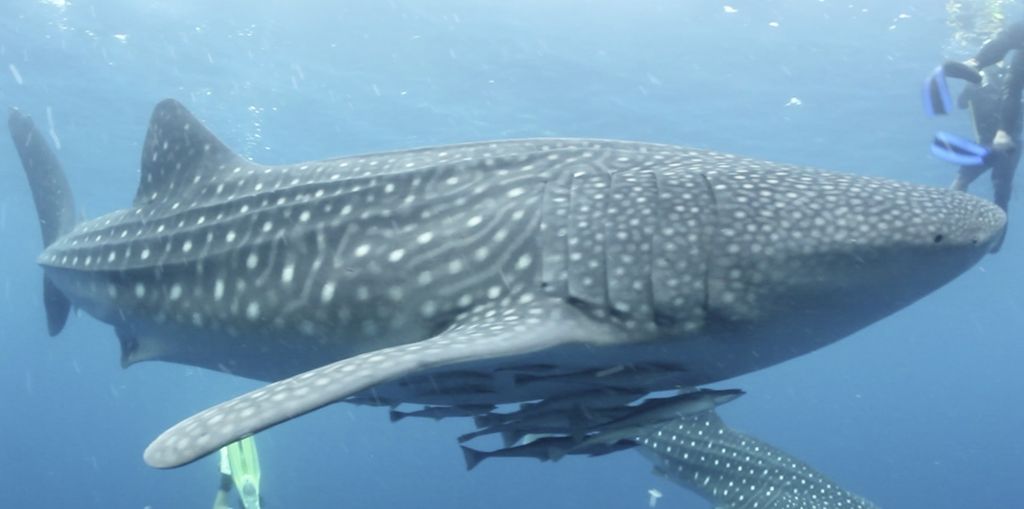 b3ad04ad-bc6c-42f5-87af-9d99afac15ac