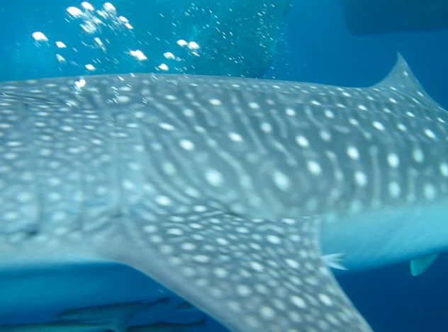 b3ad04ad-bc6c-42f5-87af-9d99afac15ac