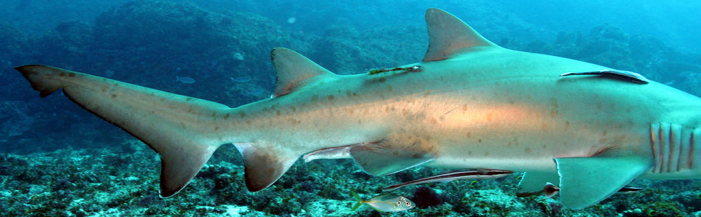 7572d2d2-4971-489d-9eb7-4b42b644f6e3