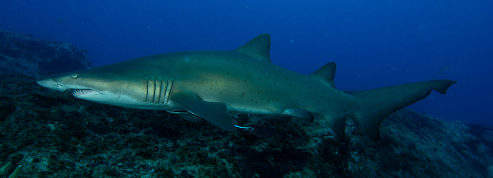 e165e5b3-3a4d-42de-9c3f-b1561bdd49ef