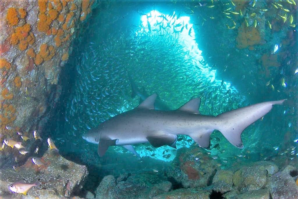 fe51b60d-f79f-4eba-9a7b-90718cea0980