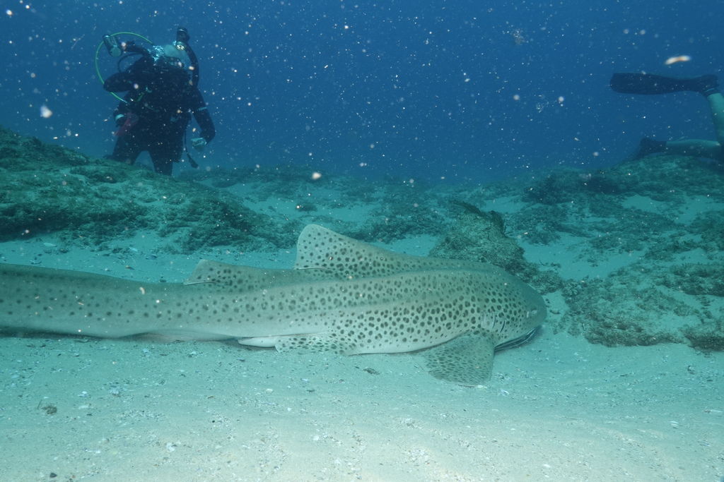 c84538ee-7b6e-4bed-b035-614e0e60b406