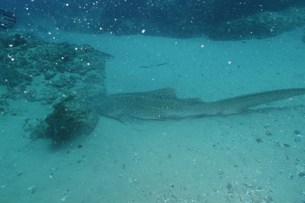 c84538ee-7b6e-4bed-b035-614e0e60b406