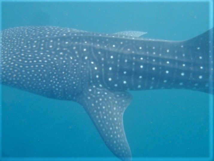 7126ec39-dd66-4410-a38f-05ffc1893810