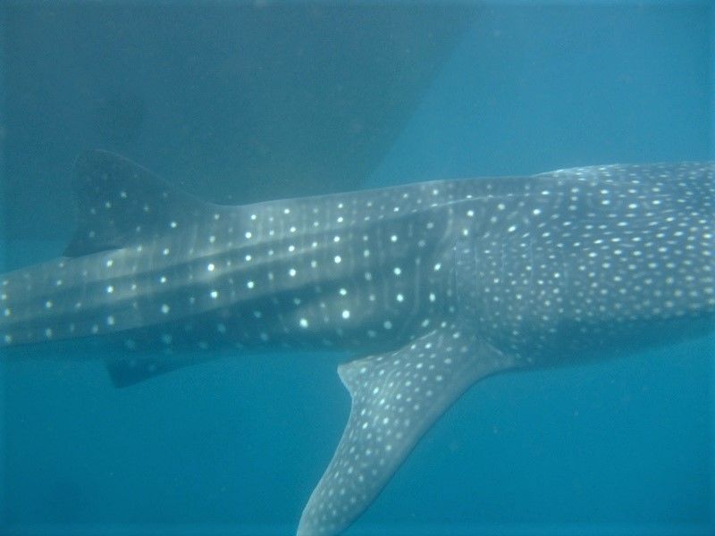 7126ec39-dd66-4410-a38f-05ffc1893810