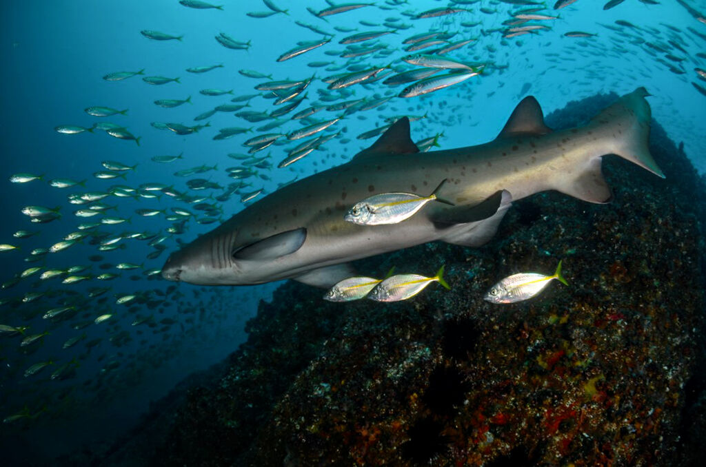 bb13d263-0503-4d6b-a1f7-dde2da0ee295