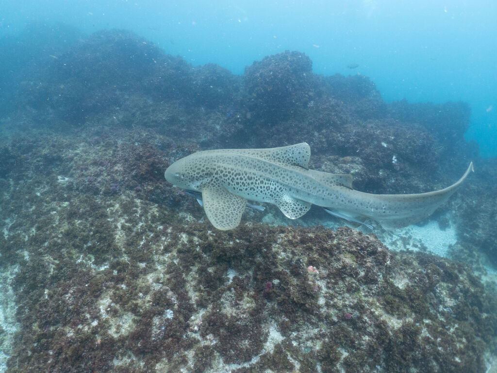 86eccdcb-7a22-41e9-b16e-283e408b0263