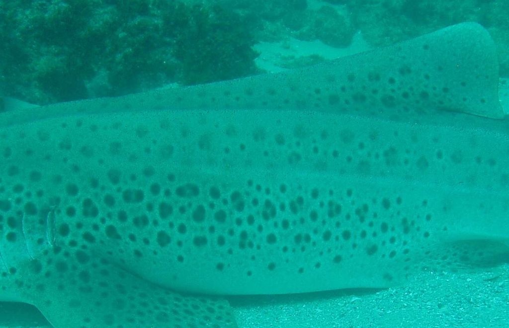 6a71fbbb-cbf2-40b8-bbe6-fd77d2197e6b