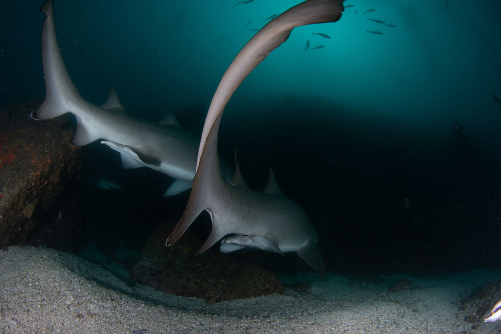 f8dc9b73-a743-427c-a5b3-86ffe79da5ec