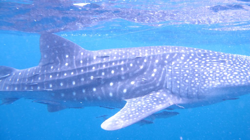 3a22bf2c-346b-4b7e-afae-0133dbae71d0