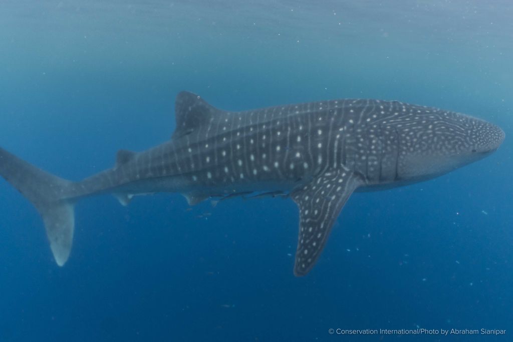 26e16c27-3efb-43c7-9cc9-4527497e59fe