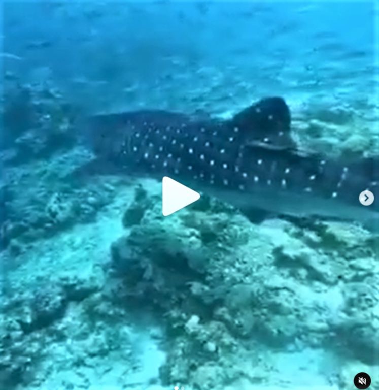 cfafd529-940f-4316-a35b-23511ae9d71a