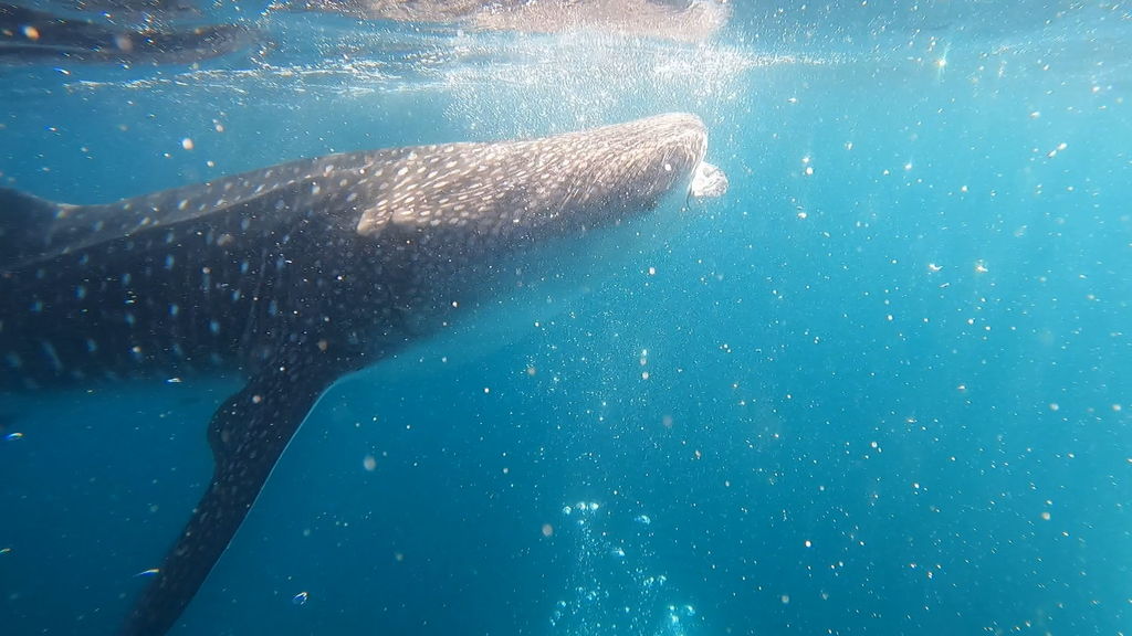 2dc15b0e-0f62-4e3e-a767-e4b7c3c78692