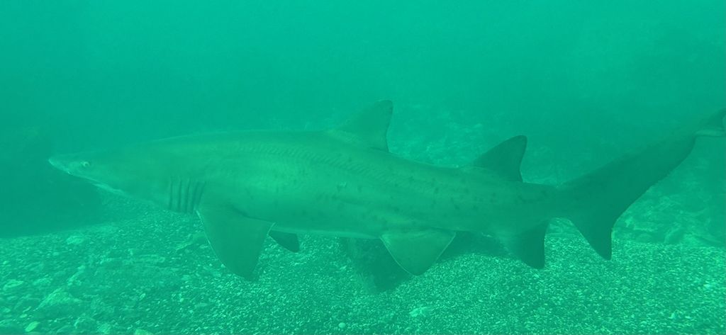 c5441c8a-382e-4889-a630-faa076ba36b2