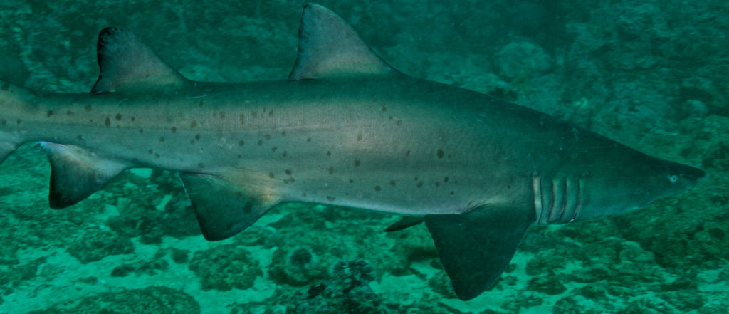 8955d942-dbcc-4c03-a6e5-75e2165f67e5