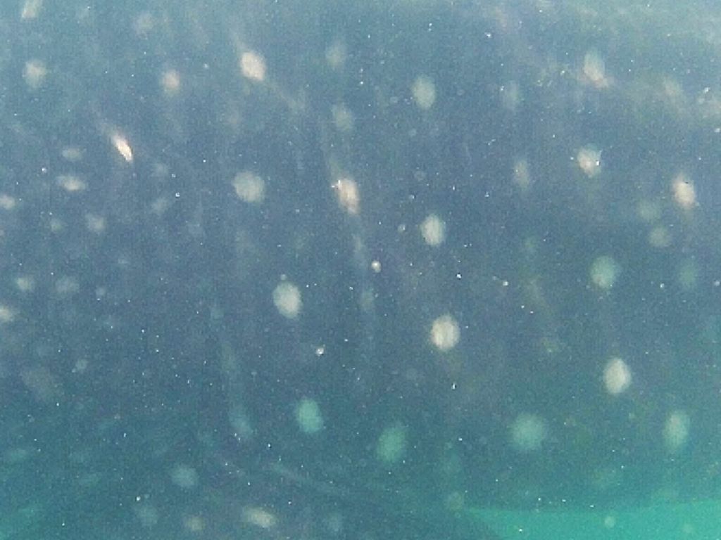 001fd785-be98-4ed4-995a-a96eaf80824d