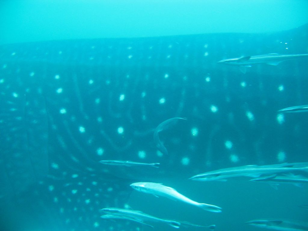 1202419d-3b28-411d-87d5-55af63ef8566