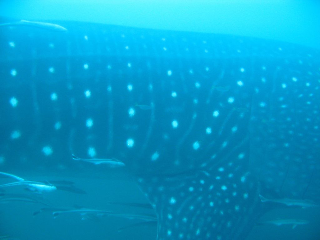 1202419d-3b28-411d-87d5-55af63ef8566