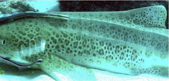 b507232d-423f-4078-84d2-09ff1b819984