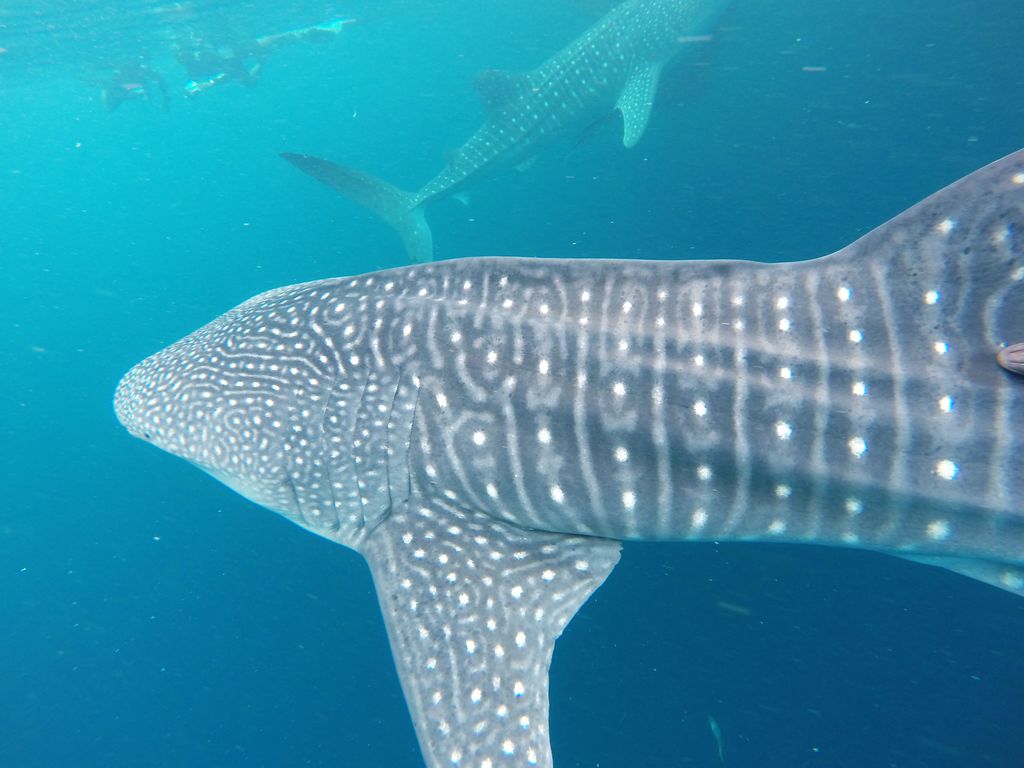 248df30f-2284-48ad-bcf9-4bcff7da682e