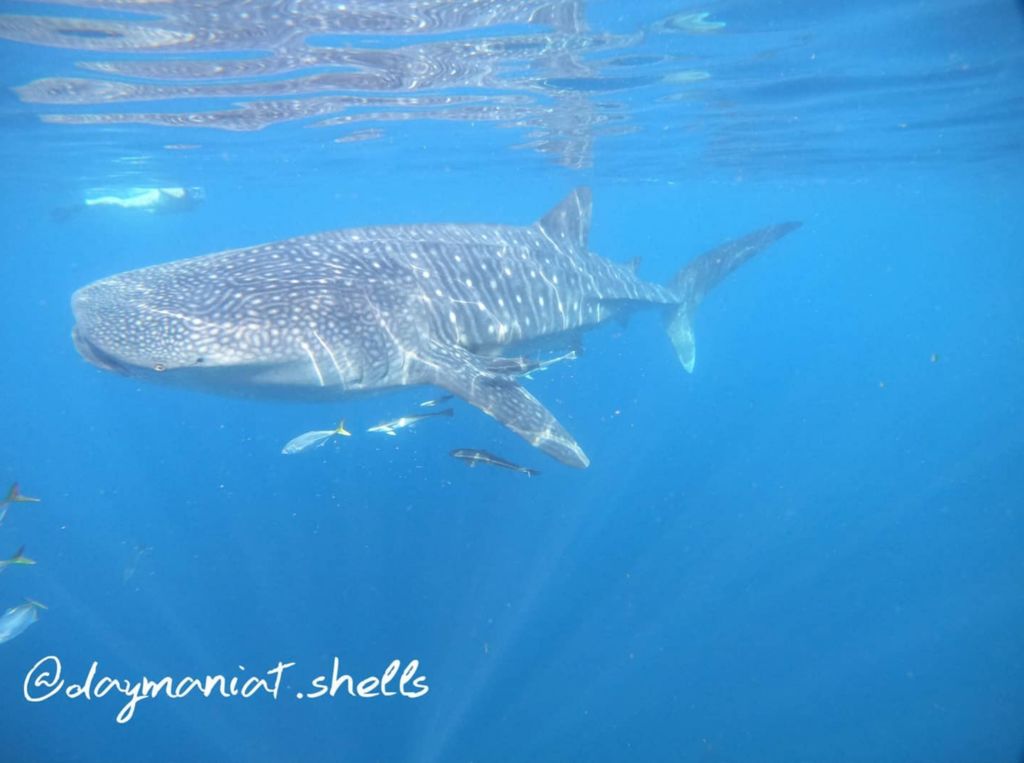 b67b3824-259e-44b6-9473-ade1d90f41ef