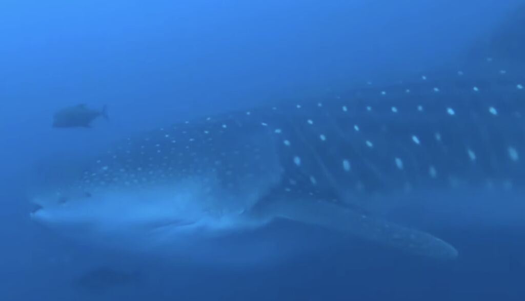 dda85bb0-0708-4a77-811d-b0b0904dcc25