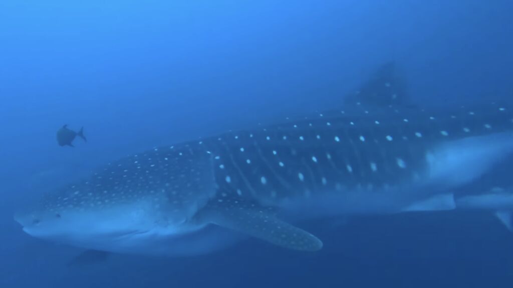 dda85bb0-0708-4a77-811d-b0b0904dcc25