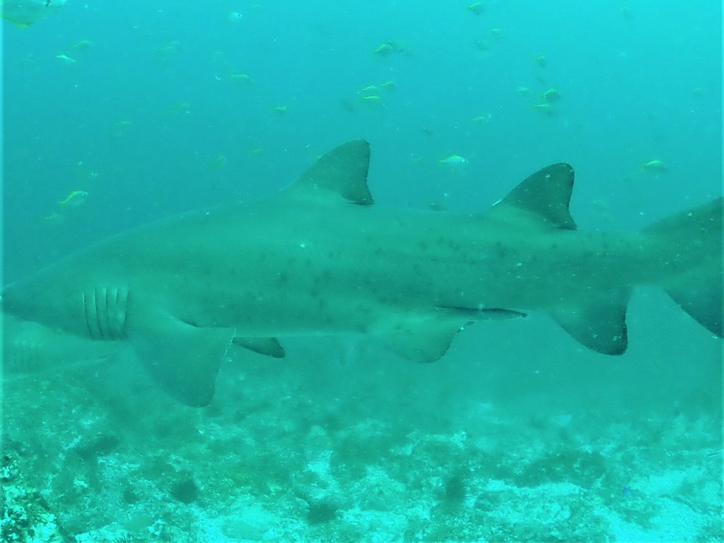 af83e204-5994-4191-9d3b-a2f408b4ea5d