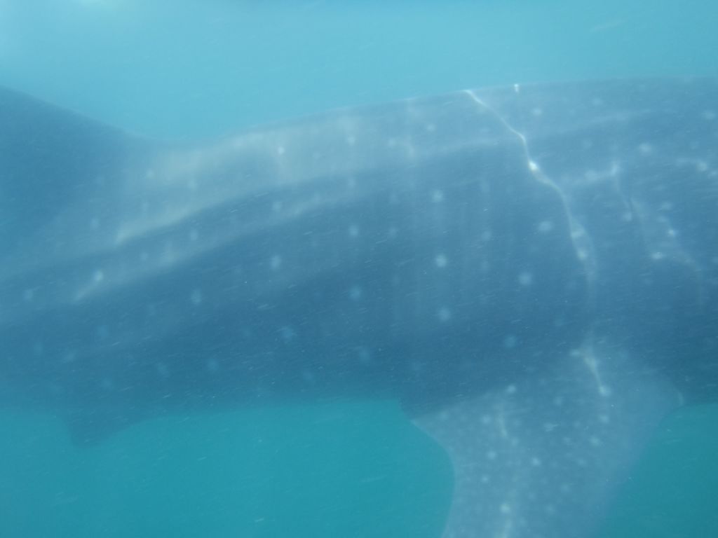 e70f31dd-8644-4d19-a6e8-2651beb58e5b