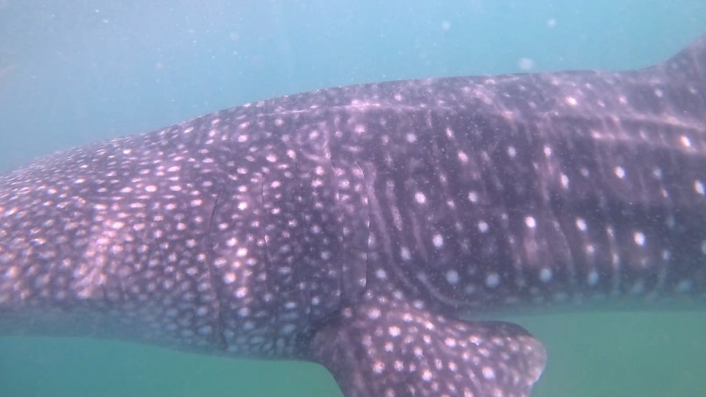 27ead0a8-d66e-41f0-b689-68542bb3db14