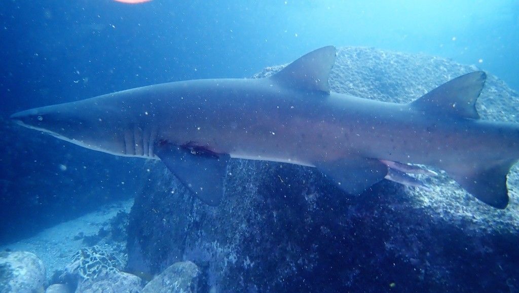 60ccd015-b3c1-410a-9d81-773cbcbe87dd